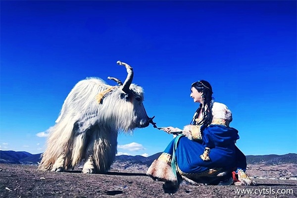 第一次去西藏應(yīng)該注意哪些事項
