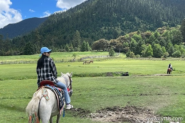 林芝報(bào)團(tuán)旅游多少錢